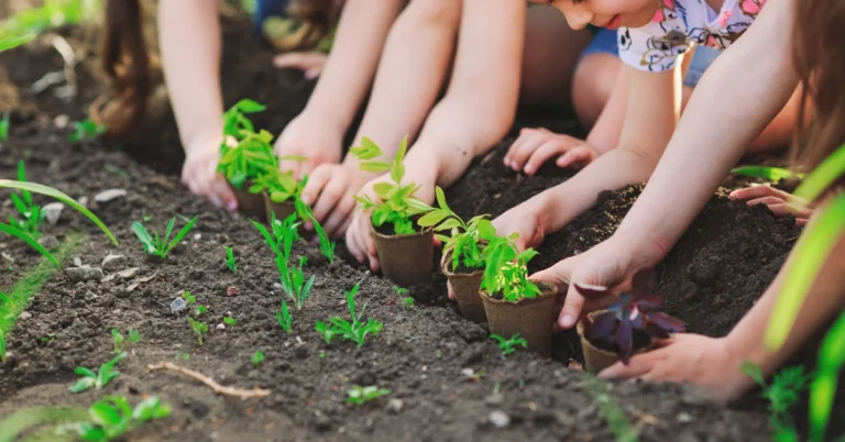 Kids planting seeds in a garden - Plant A Seed, Read song for iREAD 2026 summer reading programs combines music, movement, and early literacy skills perfect for libraries!